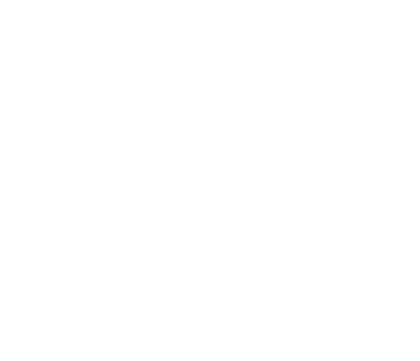 MFF LTD logo